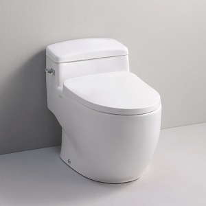 [대림바스플랜] 욕실리모델링 양변기교체 원피스 양변기 PC-6010 PC6010 (부속선택)
